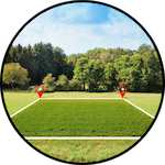 Estudios
Sitio
Terreno